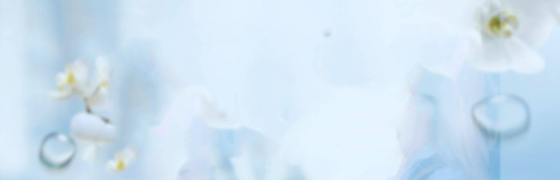 banner_bg1